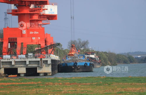 江西泰和内陆码头 复工复产作业繁忙，搬运服务高效运转